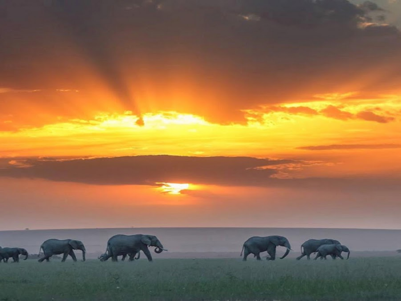 Kenya safari package from Dubai with wildlife and cultural experiences