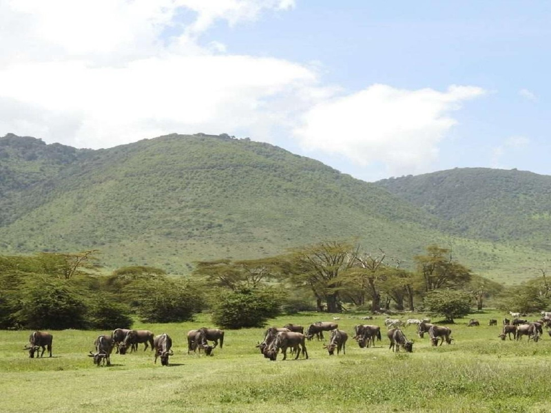 East Africa holiday package from Dubai with safari and city combinations